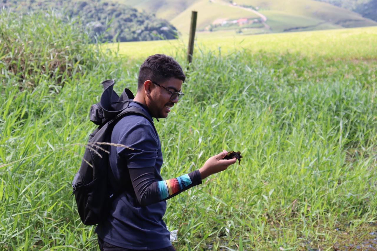 Finding Utricularia foliosa in the field